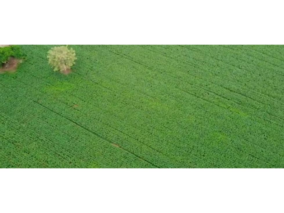 VENTA DE FINCA EN MOMIL CORDOBA MONTERIA - 1