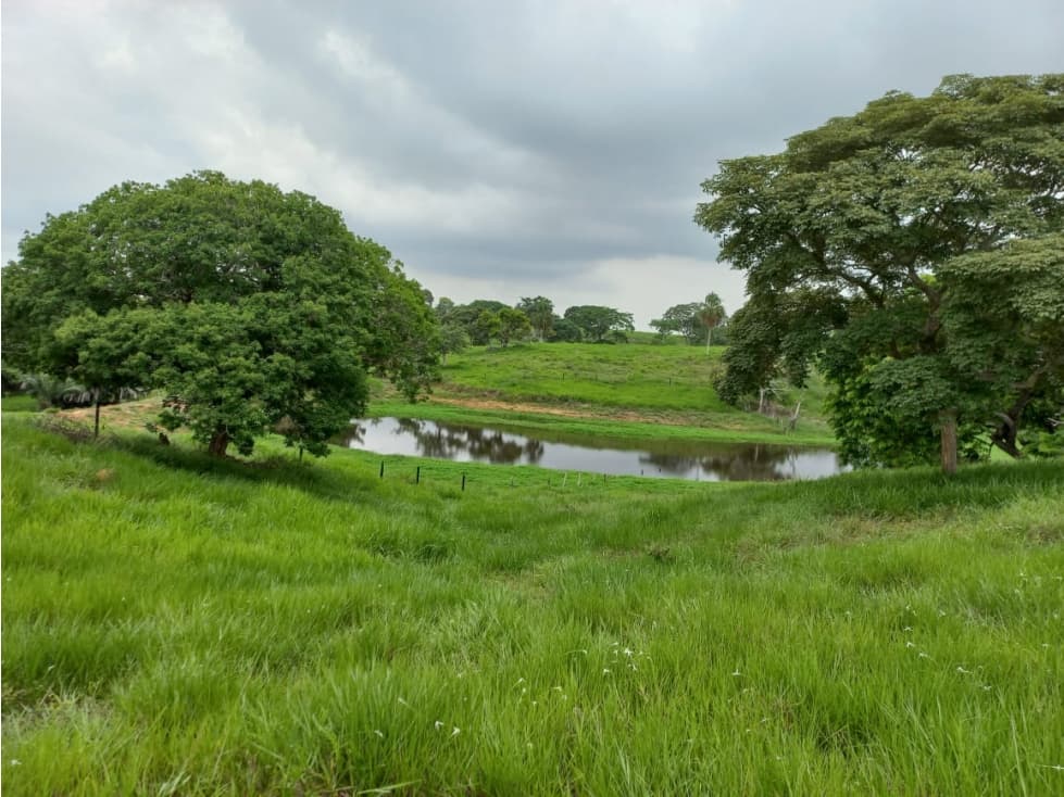 Finca en Venta en San Onofre Sucre - 1