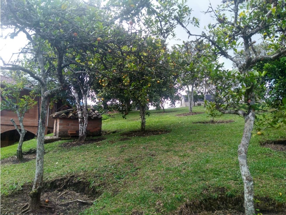 Venta de casa finca en Caldas, Vereda La Calle Zona la Clara - 1