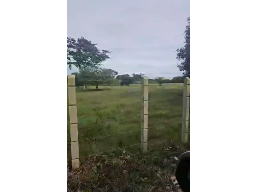 Vendo Finca Ganadera Momil Cordoba - 1