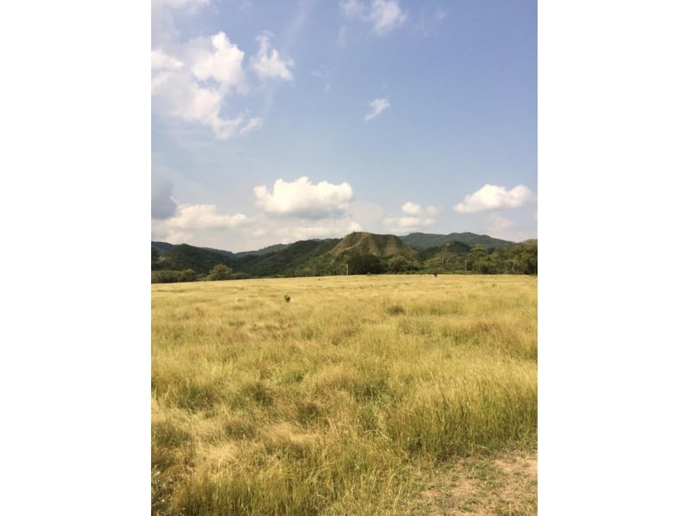 Finca en venta en Honda Tolima - 1