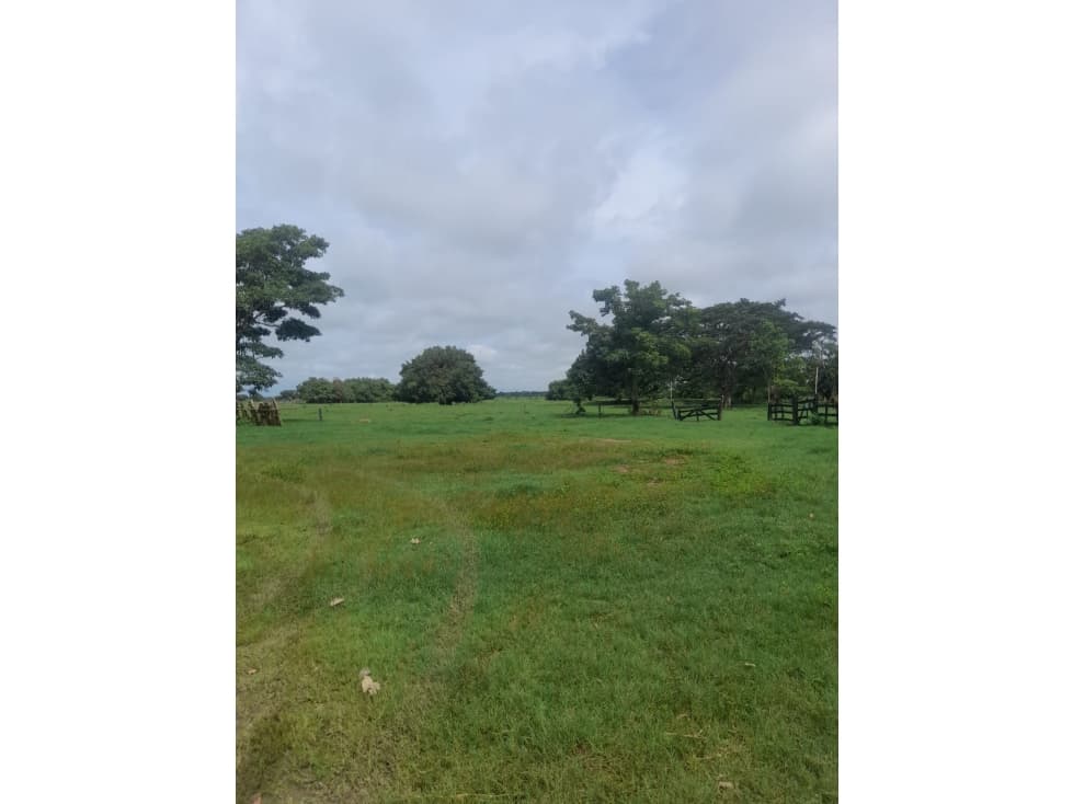 Finca en venta en Córdoba cerca de Montería - 1