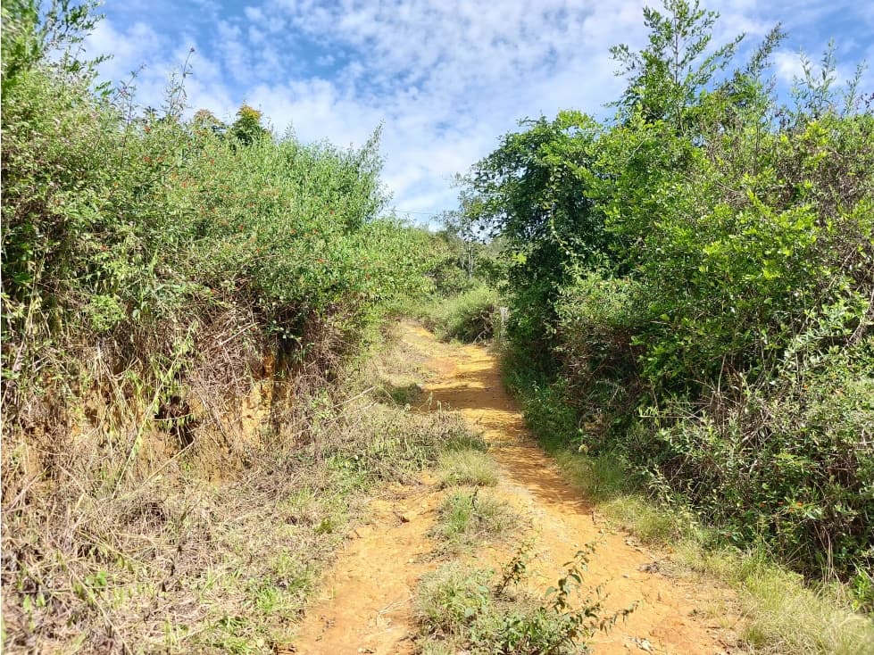 VENTA EXCELENTE LOTE UBICADO EN BARICHARA SANTANDER - 1