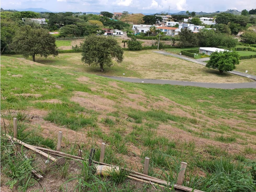 VENDEMOS LOTE CAMPESTRE CON EXCELENTE VISTA EN CARTAGO - 1
