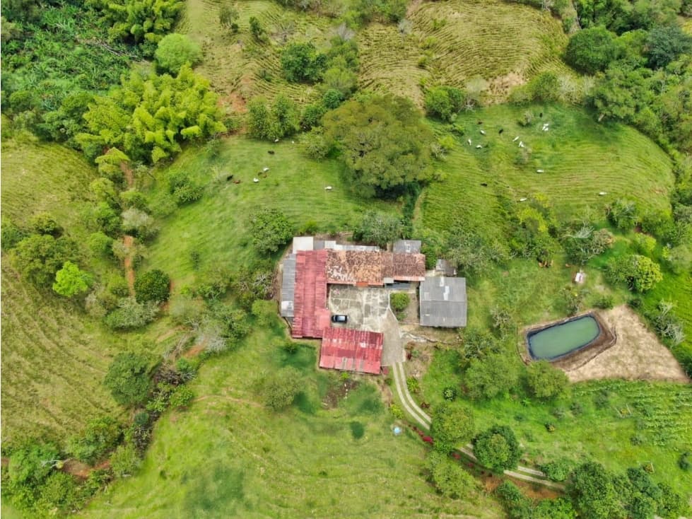 Se Vende Finca En Belalcázar Caldas - 1