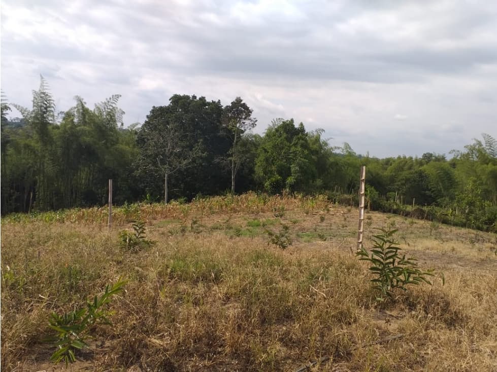 Se vende Lotes en La Tebaida Quindío - 1