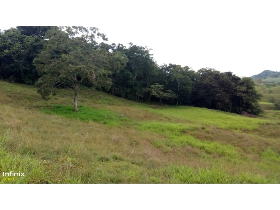 Se vende Finca La Uribe Valle del Cauca - 1