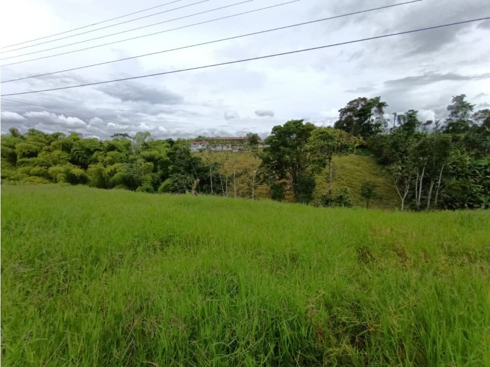 Se vende Lote Puerto Espejo - Pueblo Tapao Quindío - 1