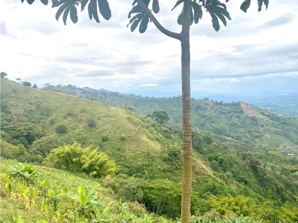 Se vende Lote Córdoba Quindío - 1