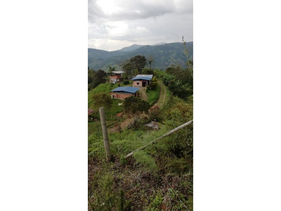 Se Vende Finca Con Dos Casas, Salamina, Caldas. - 1