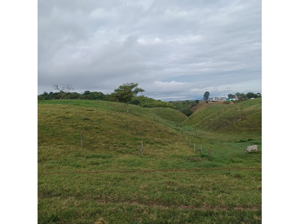 Se vende Lote Circasia Quindío - 1