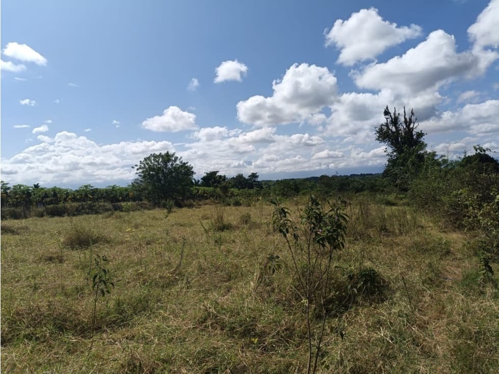 Se Vende Lote En Montenegro - 1