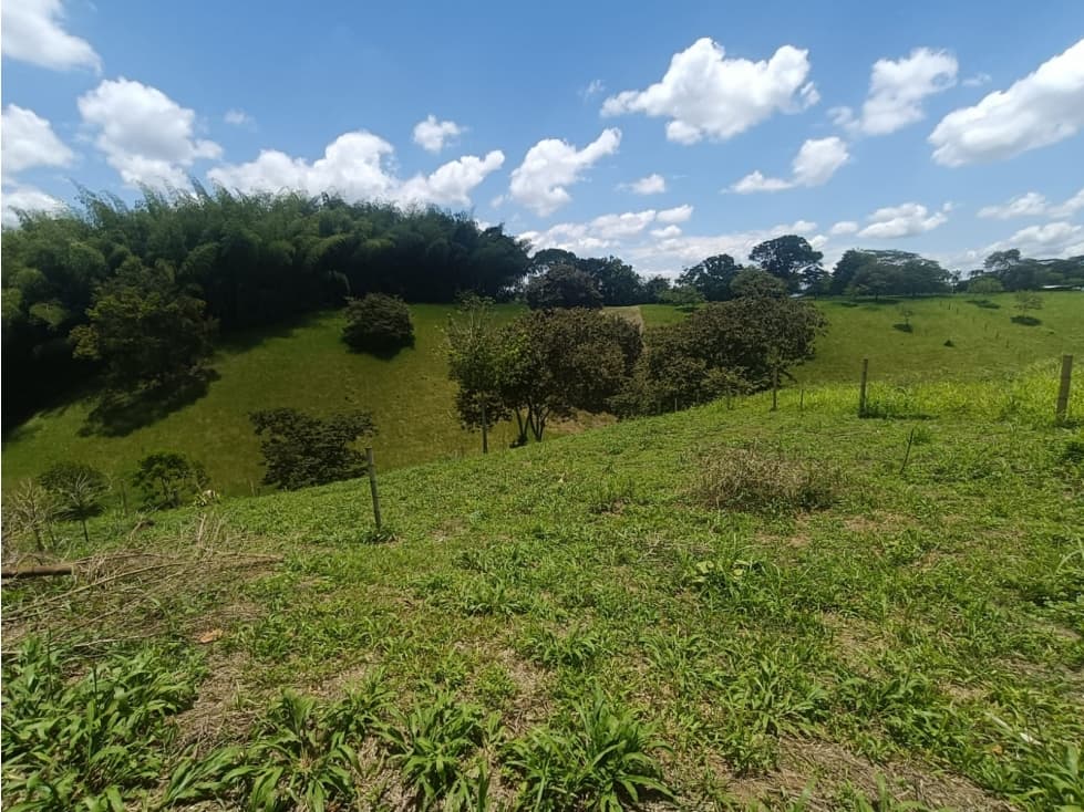 Se Vende Lote En Quimbaya - Quindío - 1