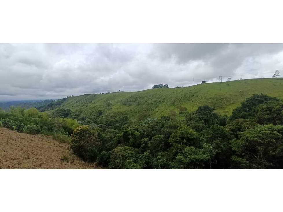 Se Vende Finca En Salento - Quindío - 1