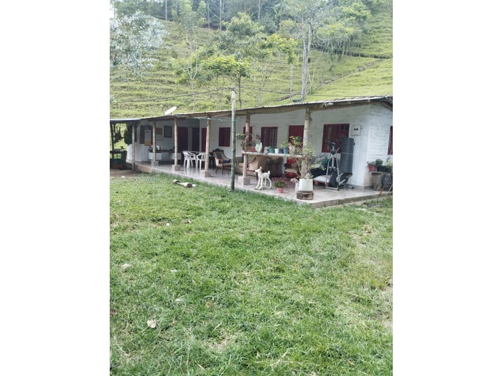 Se vende Finca Palestina Salento Quindío - 1