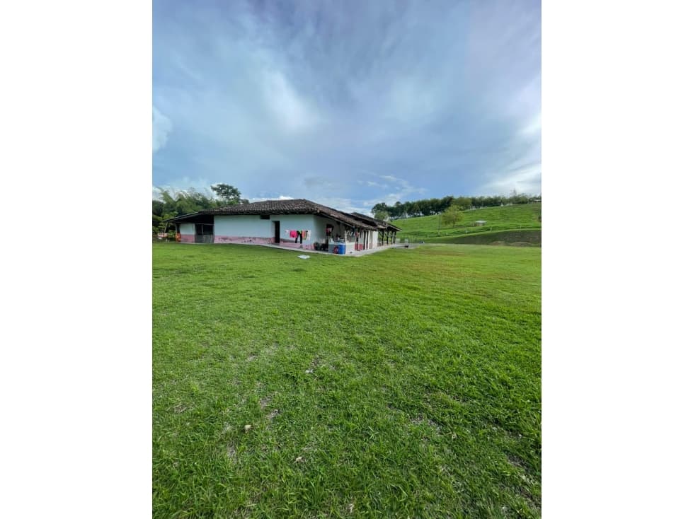 Se Vende Finca En Ulloa - Valle Del Cauca - 1