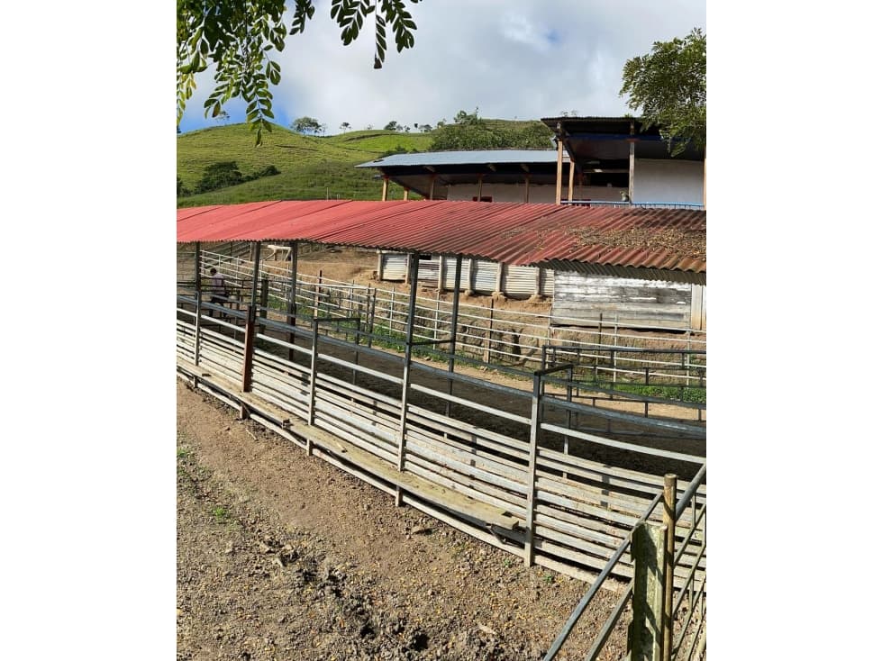 Se vende Finca Naranjal - Roldanillo - 1