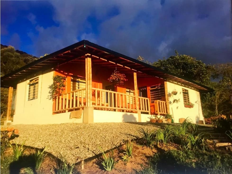 Se Vende Finca En Pijao - 1