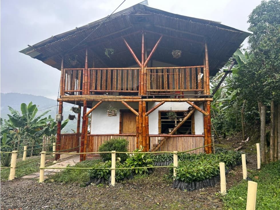 Se vende Finca Sevilla Valle del Cauca - 1