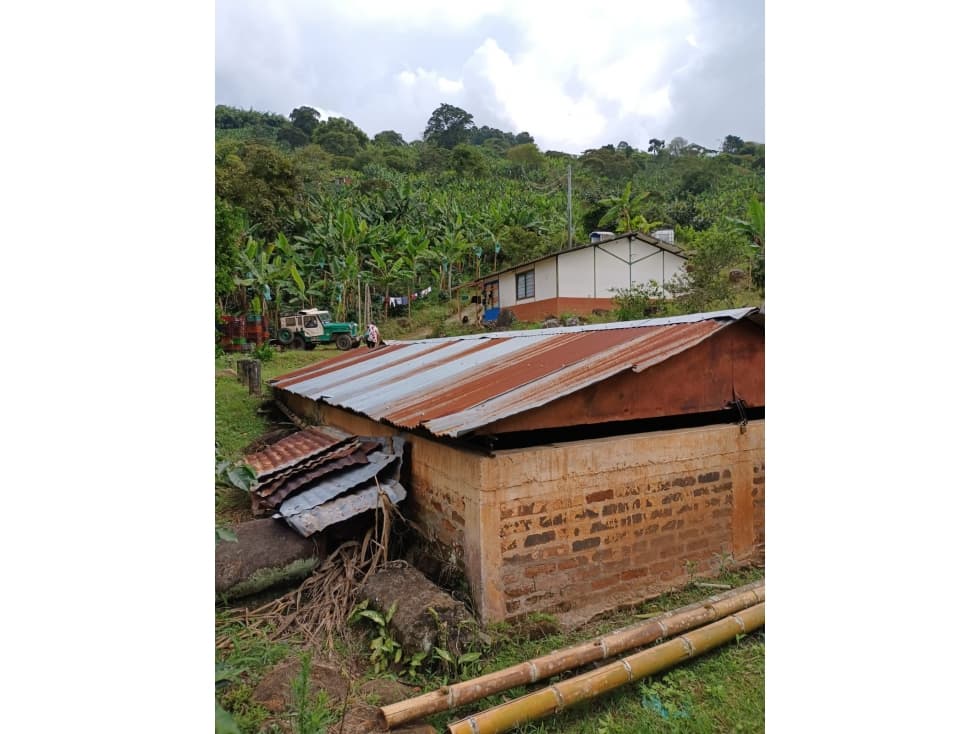 se vende finca de 8 cuadras en Caicedonia - 1