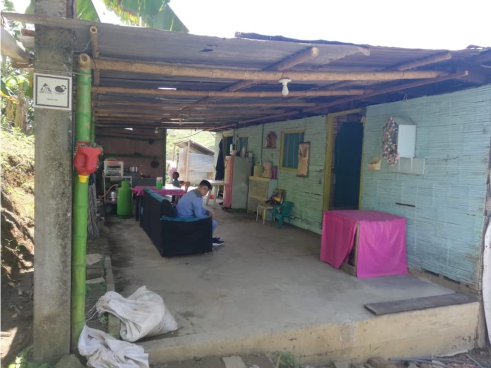 Se vende Finca Sevilla Valle del Cauca - 1