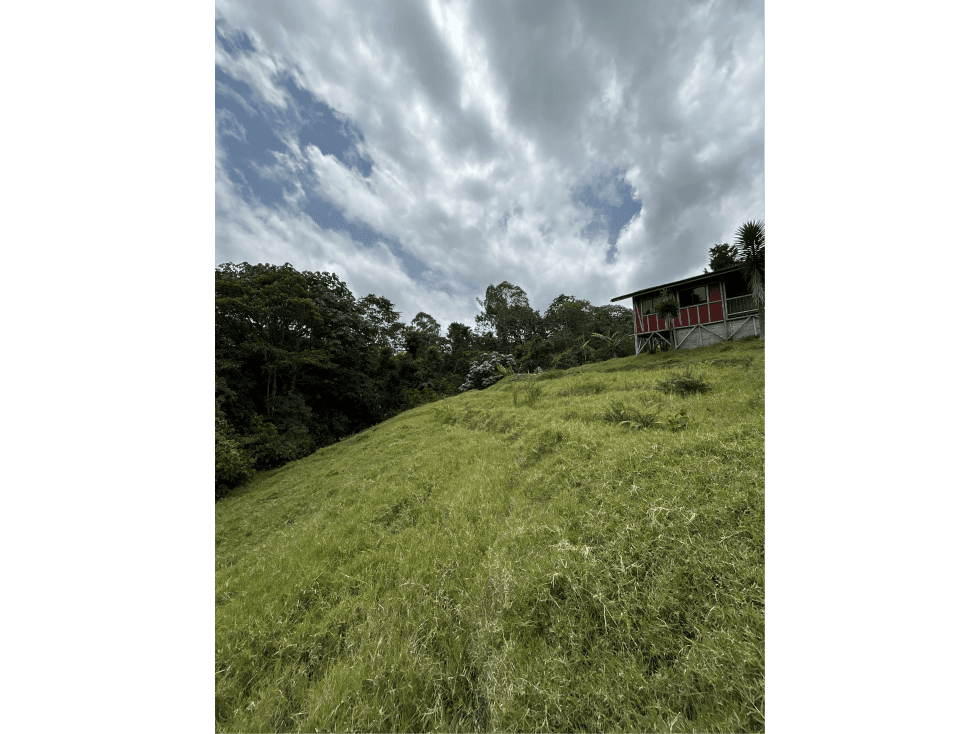 Se Vende Lote En condominio Campestre En Circasia - 1