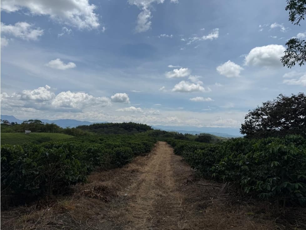 Se Vende Finca En Alcala - Valle Del Cauca - 1