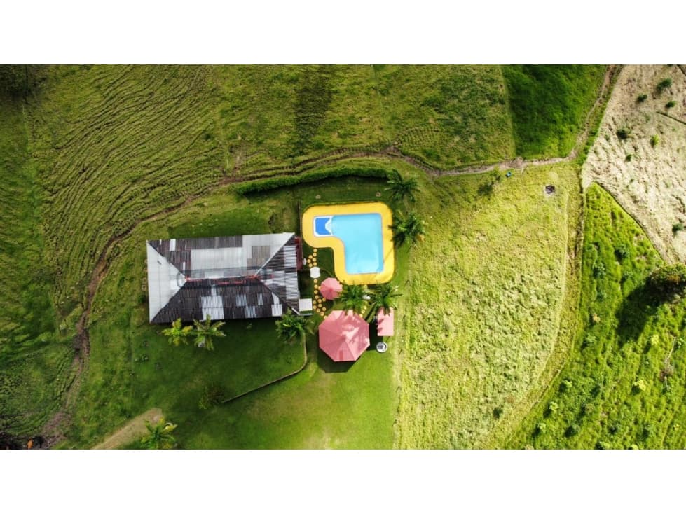 Se vende Finca Sevilla Valle del Cauca - 1