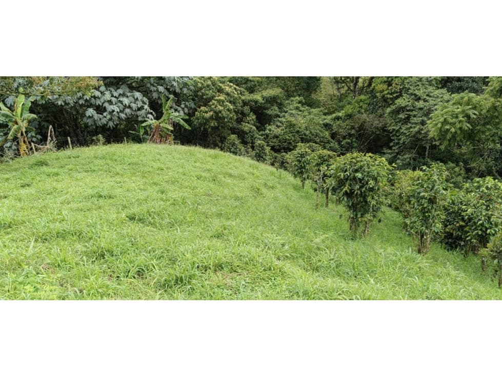 Se vende Lote Ubicado En Salento - Quindío - 1