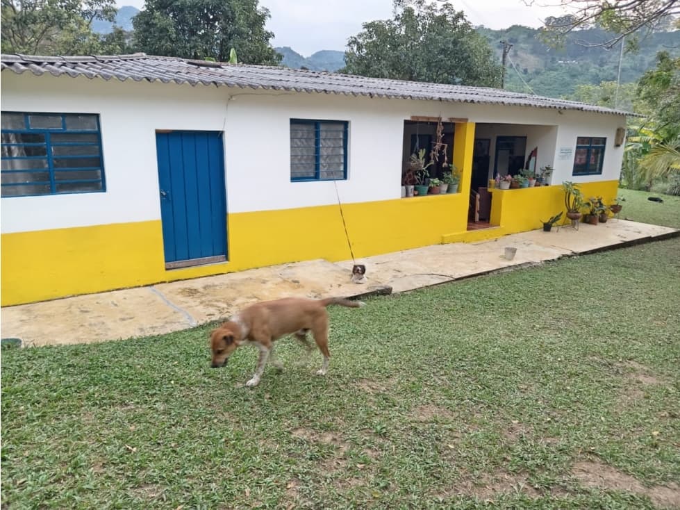 Se vende Finca Sardineros Córdoba - 1