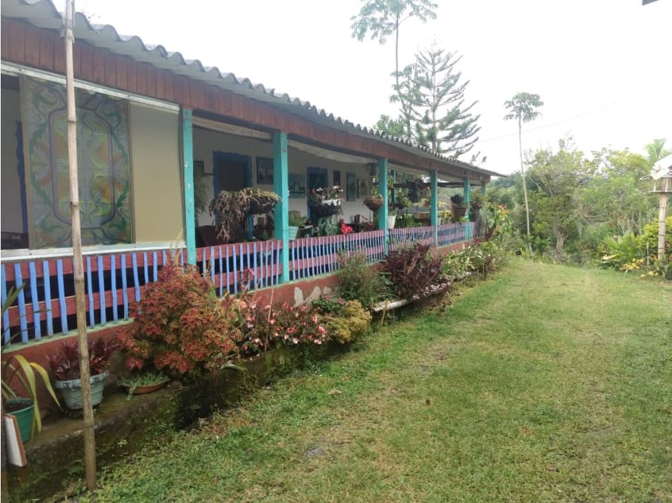Se Vende Finca 17 cuadras Filandia-Quindío - 1