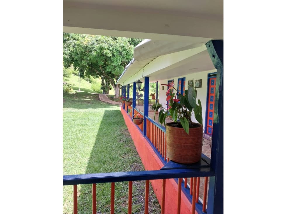 Se Vende Finca Belalcázar, Caldas - 1