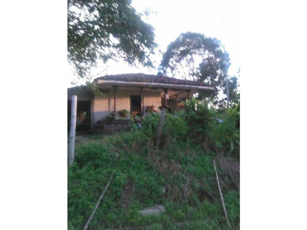 Se vende Finca en Alcalá Valle - 1