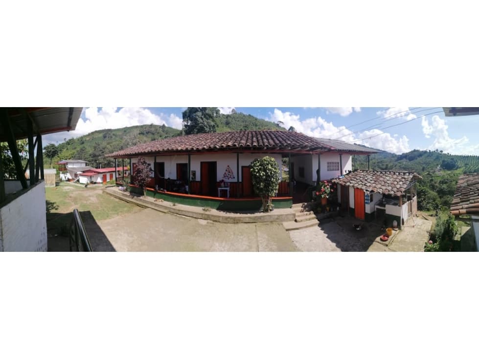 Se Vende Finca En Sevilla Vereda San Antonio -Valle del Cauca. - 1