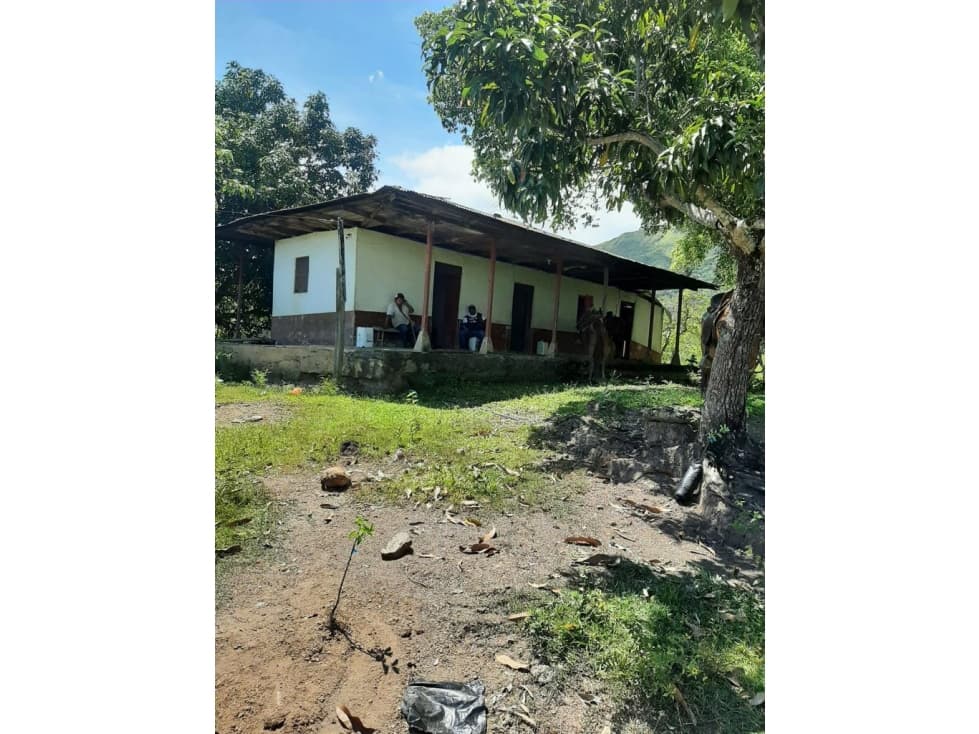 Se vende Finca Prado Tolima - 1