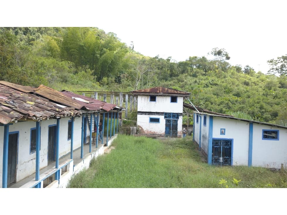 Se vende Finca En Caicedonia - Valle Del Cauca - 1