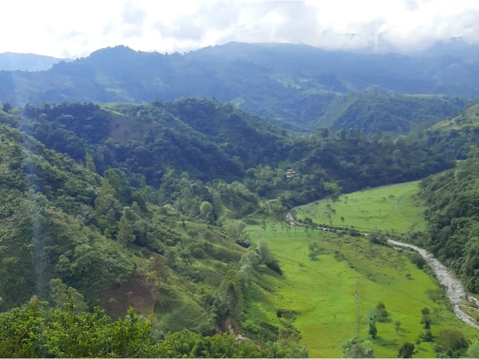 Se Vende Finca De 28 Cuadras En Salento - 1