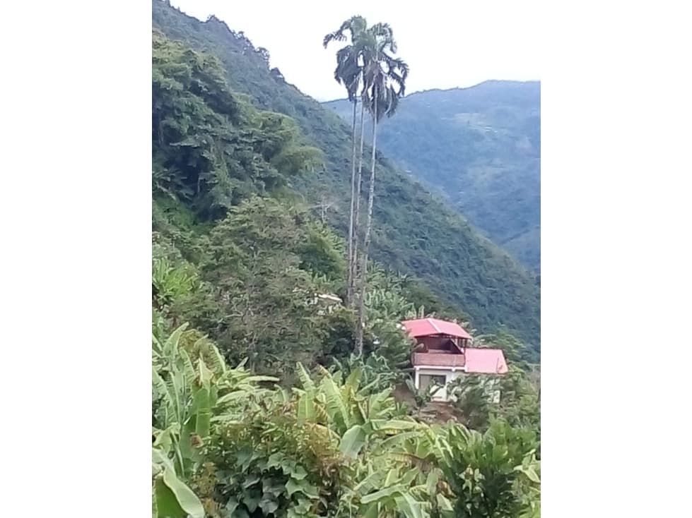 Se Vende Finca En Genova Quindío - 1