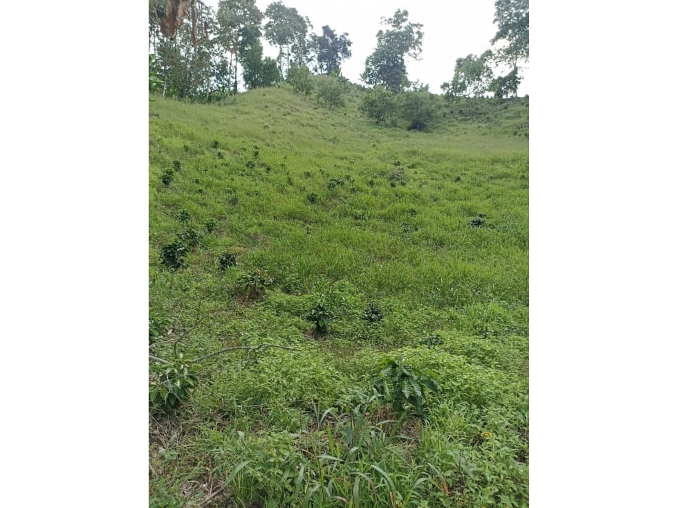 Se Vende Lote Cordoba Quindío - 1