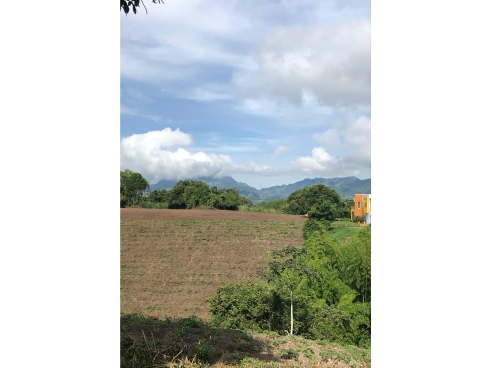 Se Vende Lote S. Panaca - Quimbaya - 1