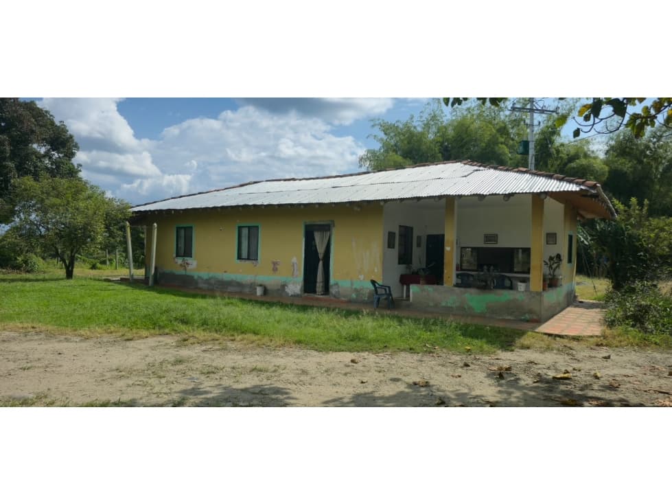 Se Vende Finca Ganadera En Pueblo Tapao - Montenegro - Quindío - 1