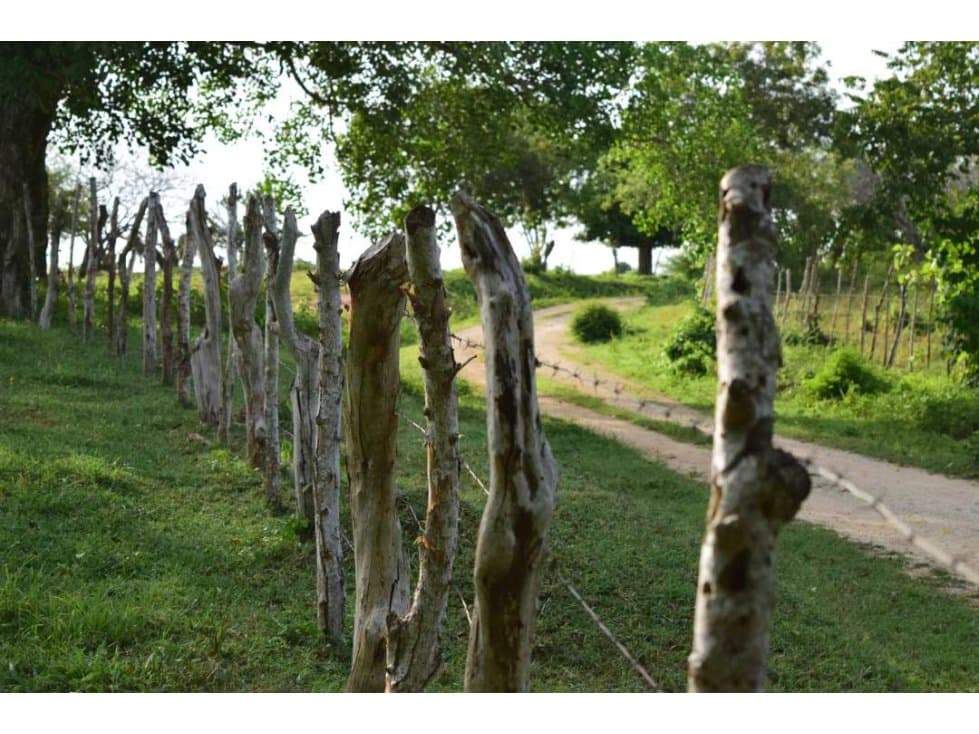 Finca en vereda Bálsamo, zona rural Arjona, Bol - 1