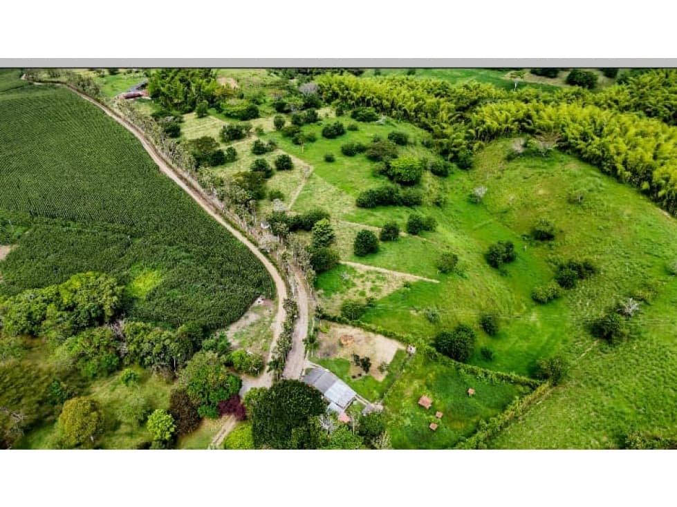 SE VENDEN LOTES EN EL QUINDIO - 1