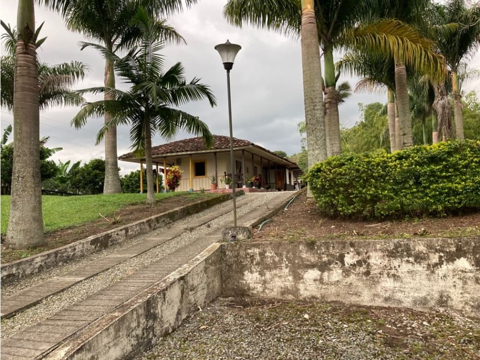 VENTA FINCA CON BUENA VISTA, SALENTO - 1