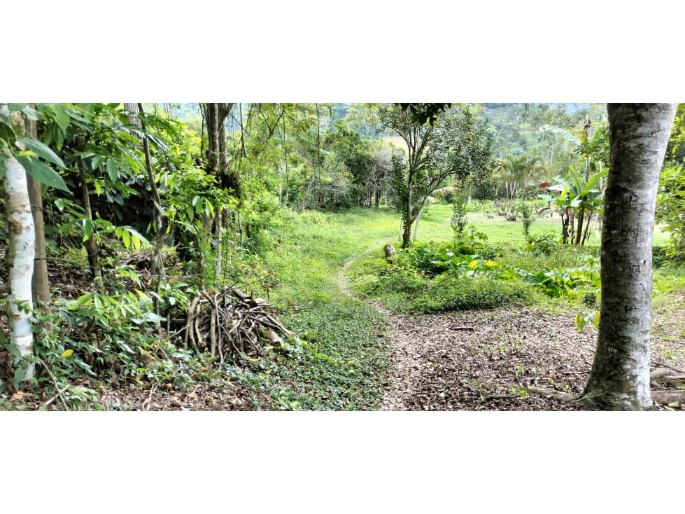 SE VENDE FINCA EN LA VEREDA LISBOA EN LEBRIJA SANTANDER - 1