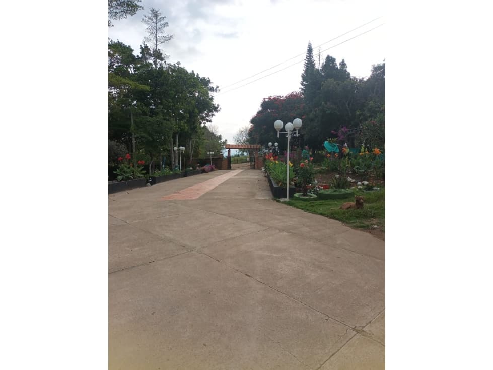 Oportunidad. Vendo hermosa Finca en La Mesa de los Santos. (Linderos) - 1