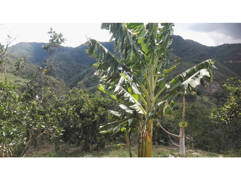 VENDO ECONOMICAS FINCAS PARTE ALTA DE GIRON SANTANDER - 1