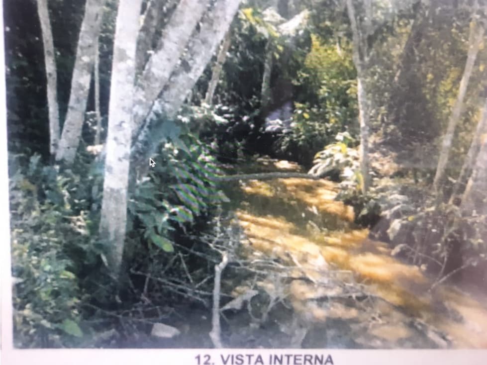 PREDIO RURAL SAN JORGE PUERTO LLERAS META COLOMBIA - 1