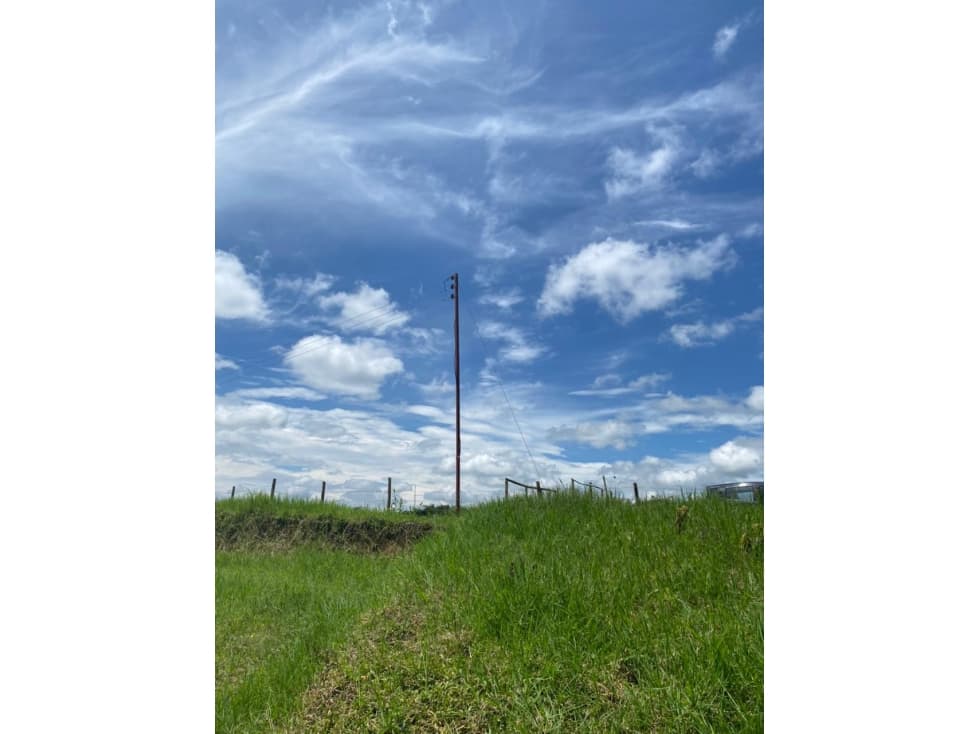 VENDO LOTE CAMPESTRE EN ALCALA VIA CARTAGO - 1