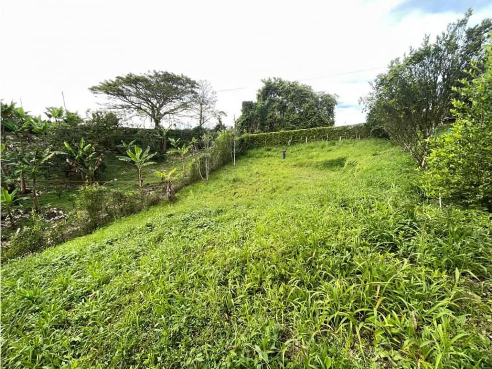 VENDO LOTE EN CORREGIMIENTO LA PALMILLA PEREIRA - 1